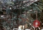 Image of United States Marines Saipan Northern Mariana Islands, 1944, second 33 stock footage video 65675059630