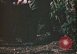 Image des Marines des États-Unis Saipan Îles Mariannes du Nord, 1944, de la seconde 37 séquences d'archives historiques vidéo 65675059633