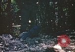 Image des Marines des États-Unis Saipan Îles Mariannes du Nord, 1944, de la seconde 45 séquences d'archives historiques vidéo 65675059633