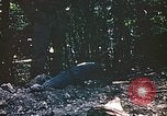 Image des Marines des États-Unis Saipan Îles Mariannes du Nord, 1944, de la seconde 46 séquences d'archives historiques vidéo 65675059633
