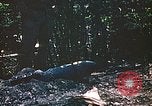 Image des Marines des États-Unis Saipan Îles Mariannes du Nord, 1944, de la seconde 47 séquences d'archives historiques vidéo 65675059633