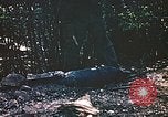 Image des Marines des États-Unis Saipan Îles Mariannes du Nord, 1944, de la seconde 49 séquences d'archives historiques vidéo 65675059633