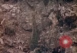 Image of United States Marines Saipan Northern Mariana Islands, 1944, second 9 stock footage video 65675059634