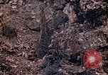 Image of United States Marines Saipan Northern Mariana Islands, 1944, second 11 stock footage video 65675059634