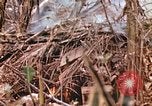Image of United States Marines Saipan Northern Mariana Islands, 1944, second 34 stock footage video 65675059634
