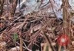 Image of United States Marines Saipan Northern Mariana Islands, 1944, second 35 stock footage video 65675059634