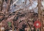 Image of United States Marines Saipan Northern Mariana Islands, 1944, second 36 stock footage video 65675059634