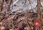 Image of United States Marines Saipan Northern Mariana Islands, 1944, second 37 stock footage video 65675059634