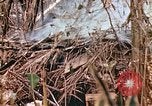 Image of United States Marines Saipan Northern Mariana Islands, 1944, second 38 stock footage video 65675059634