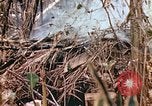 Image of United States Marines Saipan Northern Mariana Islands, 1944, second 39 stock footage video 65675059634