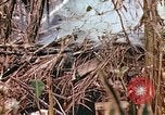 Image of United States Marines Saipan Northern Mariana Islands, 1944, second 40 stock footage video 65675059634