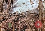 Image of United States Marines Saipan Northern Mariana Islands, 1944, second 41 stock footage video 65675059634