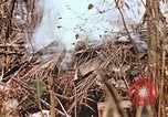 Image of United States Marines Saipan Northern Mariana Islands, 1944, second 44 stock footage video 65675059634
