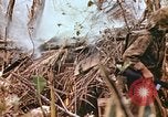 Image of United States Marines Saipan Northern Mariana Islands, 1944, second 48 stock footage video 65675059634