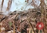 Image of United States Marines Saipan Northern Mariana Islands, 1944, second 49 stock footage video 65675059634