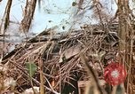 Image of United States Marines Saipan Northern Mariana Islands, 1944, second 50 stock footage video 65675059634