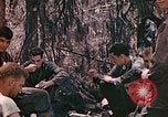 Image of United States Marines Saipan Northern Mariana Islands, 1944, second 19 stock footage video 65675059635