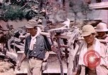Image of United States Marines Saipan Northern Mariana Islands, 1944, second 58 stock footage video 65675059635