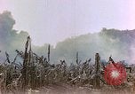 Image of United States Marines Saipan Northern Mariana Islands, 1944, second 3 stock footage video 65675059639