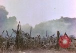 Image of United States Marines Saipan Northern Mariana Islands, 1944, second 6 stock footage video 65675059639
