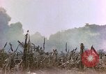 Image of United States Marines Saipan Northern Mariana Islands, 1944, second 7 stock footage video 65675059639