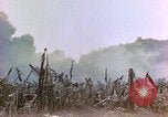 Image of United States Marines Saipan Northern Mariana Islands, 1944, second 8 stock footage video 65675059639