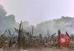 Image of United States Marines Saipan Northern Mariana Islands, 1944, second 9 stock footage video 65675059639