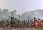 Image of United States Marines Saipan Northern Mariana Islands, 1944, second 21 stock footage video 65675059639