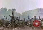 Image of United States Marines Saipan Northern Mariana Islands, 1944, second 23 stock footage video 65675059639