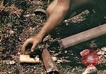 Image of United States Marines Guam Mariana Islands, 1944, second 19 stock footage video 65675059642