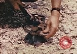 Immagine di Stati Uniti Marines Guam Isole Marianne, 1944, secondo 19 filmato di repertorio 65675059643
