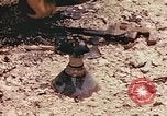 Immagine di Stati Uniti Marines Guam Isole Marianne, 1944, secondo 22 filmato di repertorio 65675059643