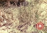 Image des Marines des États-Unis Guam Îles Mariannes, 1944, de la seconde 1 séquences d'archives historiques vidéo 65675059644