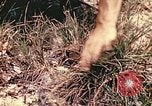 Image des Marines des États-Unis Guam Îles Mariannes, 1944, de la seconde 5 séquences d'archives historiques vidéo 65675059644