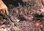 Image des Marines des États-Unis Guam Îles Mariannes, 1944, de la seconde 7 séquences d'archives historiques vidéo 65675059644