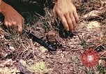 Image des Marines des États-Unis Guam Îles Mariannes, 1944, de la seconde 8 séquences d'archives historiques vidéo 65675059644