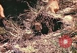 Image des Marines des États-Unis Guam Îles Mariannes, 1944, de la seconde 9 séquences d'archives historiques vidéo 65675059644