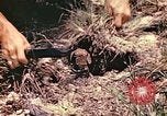 Image des Marines des États-Unis Guam Îles Mariannes, 1944, de la seconde 10 séquences d'archives historiques vidéo 65675059644