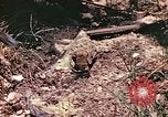 Image des Marines des États-Unis Guam Îles Mariannes, 1944, de la seconde 11 séquences d'archives historiques vidéo 65675059644