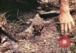 Image des Marines des États-Unis Guam Îles Mariannes, 1944, de la seconde 12 séquences d'archives historiques vidéo 65675059644