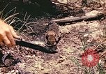 Image des Marines des États-Unis Guam Îles Mariannes, 1944, de la seconde 13 séquences d'archives historiques vidéo 65675059644