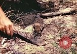 Image des Marines des États-Unis Guam Îles Mariannes, 1944, de la seconde 14 séquences d'archives historiques vidéo 65675059644