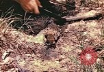 Image des Marines des États-Unis Guam Îles Mariannes, 1944, de la seconde 15 séquences d'archives historiques vidéo 65675059644