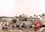 Standbild Vereinigten Staaten Marines Peleliu Palau Inseln, 1945, aus Sekunde 26 historischem Filmmaterial Videoclip 65675059647