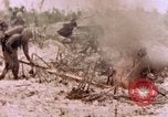 Immagine di Stati Uniti Marines Peleliu Isole Palau, 1944, secondo 8 filmato di repertorio 65675059648