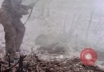 Immagine di Stati Uniti Marines Peleliu Isole Palau, 1944, secondo 30 filmato di repertorio 65675059648