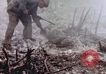 Immagine di Stati Uniti Marines Peleliu Isole Palau, 1944, secondo 32 filmato di repertorio 65675059648
