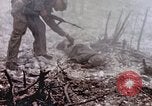 Immagine di Stati Uniti Marines Peleliu Isole Palau, 1944, secondo 33 filmato di repertorio 65675059648