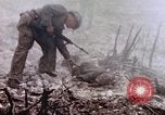 Immagine di Stati Uniti Marines Peleliu Isole Palau, 1944, secondo 34 filmato di repertorio 65675059648