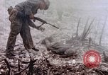 Immagine di Stati Uniti Marines Peleliu Isole Palau, 1944, secondo 35 filmato di repertorio 65675059648